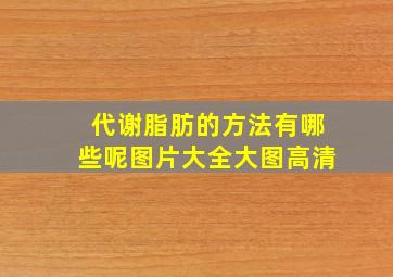 代谢脂肪的方法有哪些呢图片大全大图高清