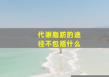 代谢脂肪的途径不包括什么