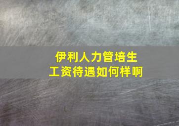 伊利人力管培生工资待遇如何样啊