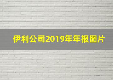 伊利公司2019年年报图片