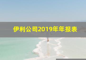 伊利公司2019年年报表