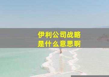 伊利公司战略是什么意思啊