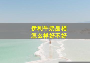 伊利牛奶品相怎么样好不好