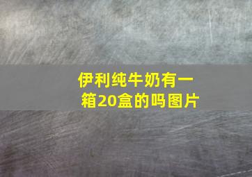 伊利纯牛奶有一箱20盒的吗图片