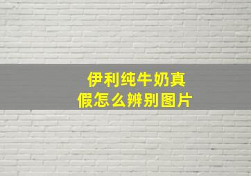 伊利纯牛奶真假怎么辨别图片