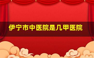 伊宁市中医院是几甲医院