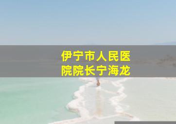 伊宁市人民医院院长宁海龙