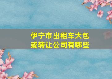 伊宁市出租车大包或转让公司有哪些