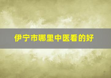 伊宁市哪里中医看的好