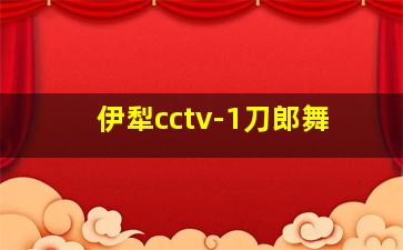 伊犁cctv-1刀郎舞