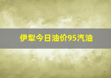 伊犁今日油价95汽油