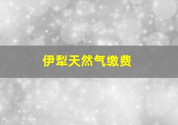 伊犁天然气缴费