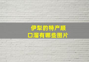 伊犁的特产顺口溜有哪些图片