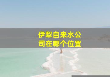 伊犁自来水公司在哪个位置