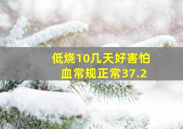 低烧10几天好害怕血常规正常37.2