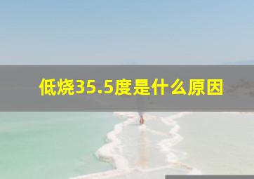 低烧35.5度是什么原因