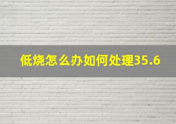 低烧怎么办如何处理35.6