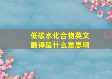 低碳水化合物英文翻译是什么意思啊