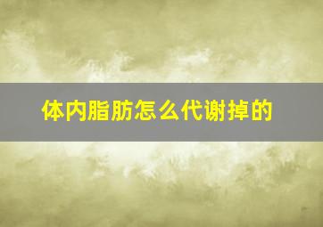 体内脂肪怎么代谢掉的