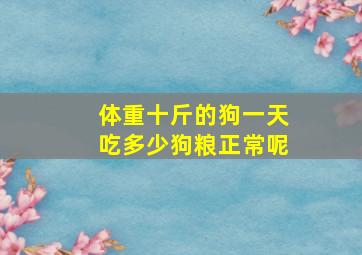 体重十斤的狗一天吃多少狗粮正常呢