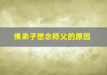 佛弟子想念师父的原因