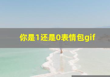 你是1还是0表情包gif