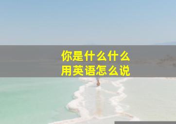 你是什么什么用英语怎么说