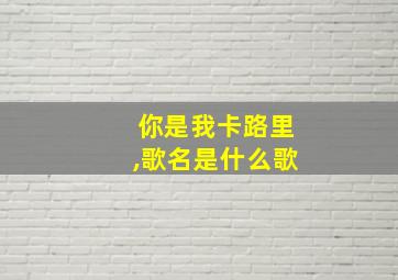 你是我卡路里,歌名是什么歌