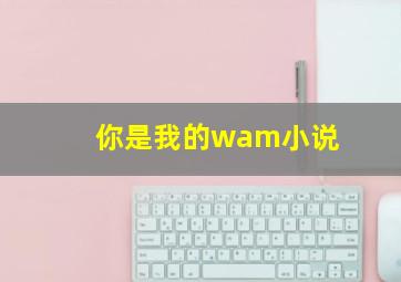 你是我的wam小说