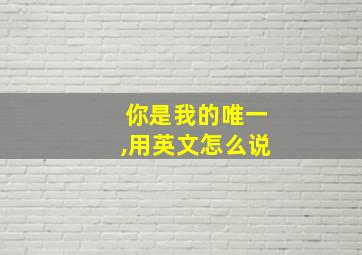 你是我的唯一,用英文怎么说