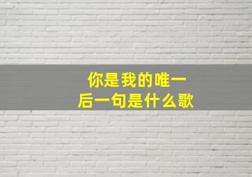 你是我的唯一后一句是什么歌