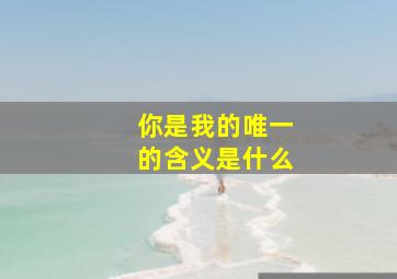 你是我的唯一的含义是什么