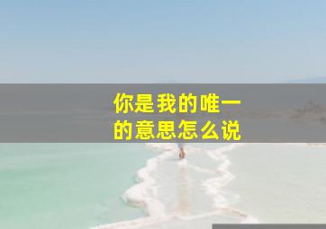 你是我的唯一的意思怎么说