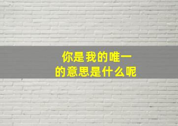 你是我的唯一的意思是什么呢