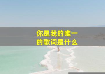 你是我的唯一的歌词是什么