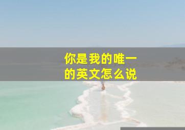 你是我的唯一的英文怎么说