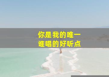 你是我的唯一谁唱的好听点