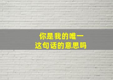 你是我的唯一这句话的意思吗