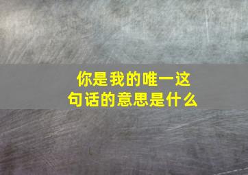 你是我的唯一这句话的意思是什么