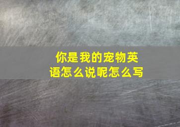 你是我的宠物英语怎么说呢怎么写