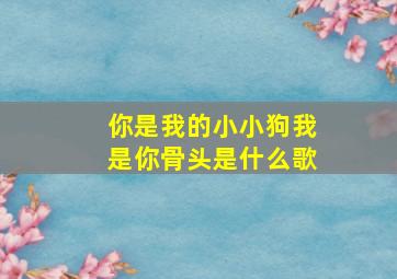 你是我的小小狗我是你骨头是什么歌