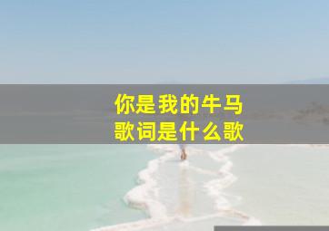 你是我的牛马歌词是什么歌