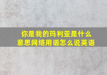 你是我的玛利亚是什么意思网络用语怎么说英语