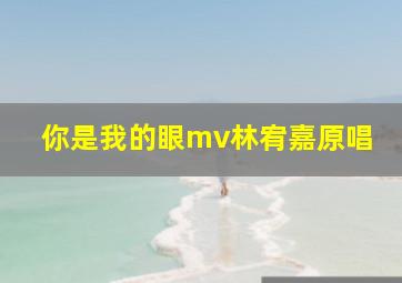 你是我的眼mv林宥嘉原唱