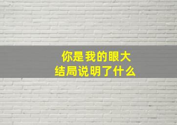 你是我的眼大结局说明了什么