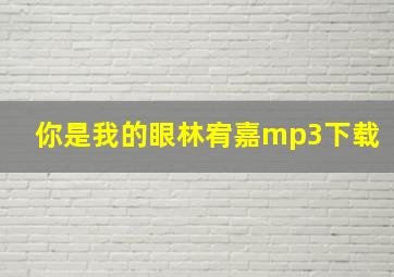 你是我的眼林宥嘉mp3下载