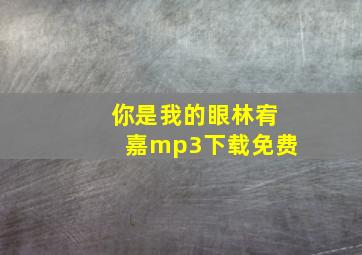 你是我的眼林宥嘉mp3下载免费