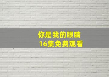 你是我的眼睛16集免费观看