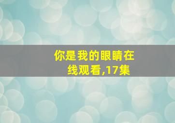 你是我的眼睛在线观看,17集