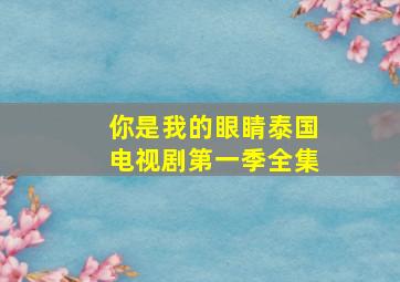 你是我的眼睛泰国电视剧第一季全集